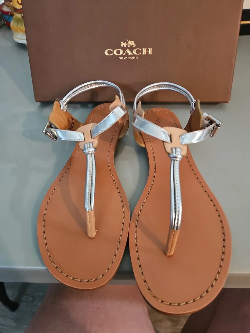 NIB Coach Clarkson Silver Natural Metallic T-Strap Flat Sandals Size 9.5 M NEW